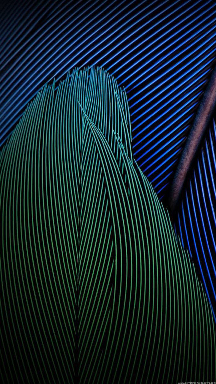 عکس زمینه سامسونگ J7 طرح پر های رنگی سبز آبی پس زمینه