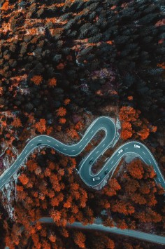 عکس زمینه جاده مارپیچ در جنگل پاییزی