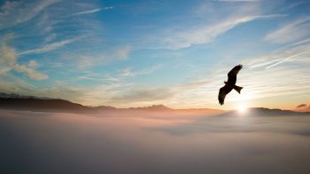عکس زمینه شبح عقاب بر فراز ابرها