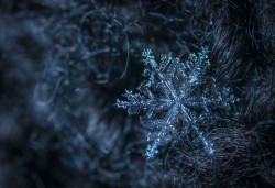 عکس زمینه ذرات بلور برف