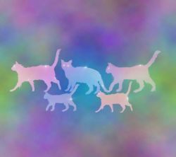 عکس زمینه نقاشی گربه های رنگارنگ
