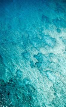 عکس زمینه اقیانوس سبز و آبی زلال و شفاف