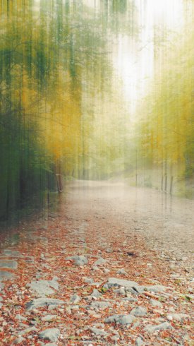 دانلود تصویر زمینه گوشی با کیفیت بالا