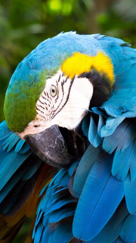 دانلود تصویر زمینه گوشی با کیفیت بالا