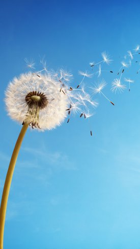 عکس آسمان آبی با کیفیت بالا