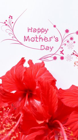 دانلود تصویر زمینه گوشی با کیفیت بالا