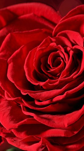 دانلود تصویر زمینه گوشی با کیفیت بالا