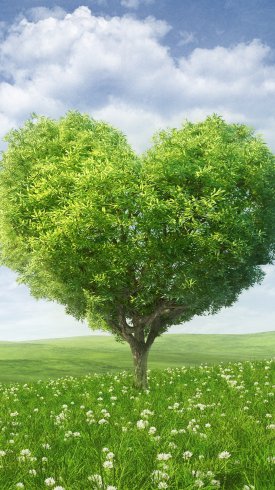 عکس زمینه درخت قلب سبز عاشق