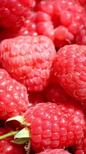 دانلود تصویر زمینه گوشی با کیفیت بالا